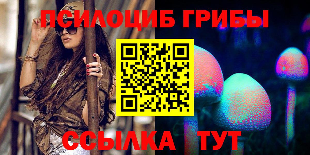 Псилоцибиновые грибы Psilocybine cubensis Тейково