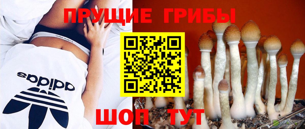 Тейково  Галлюциногенные грибы ЛСД  Вход с VPN 